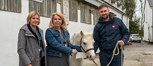 Midgeland Riding School